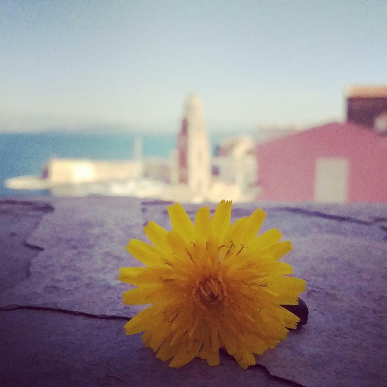 Il Vecchio E Il Mare Bed & Breakfast Gaeta Luaran gambar